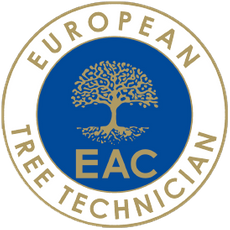 European Tree Technichan