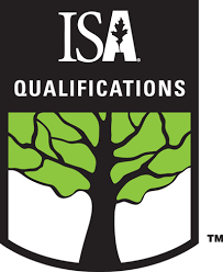 ISA Qualifications 